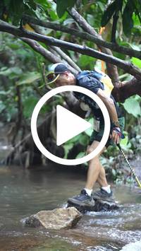 BIB:  <button type="button" onclick="openModal(27824651)" class="btn btn-primary btn-sm float-right" data-toggle="modal" data-target=".modal-high-quality">
                <i class="fa fa-download"></i> Download
                </button>